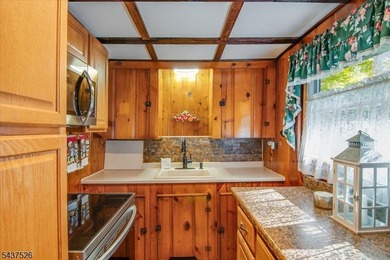 Welcome to this adorable year round ranch-style lake home! Upon - photo 21