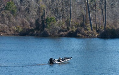 Lake Home For Sale in Wellborn, Florida