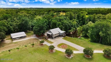 (private lake, pond, creek) Home For Sale in Trenton North Carolina