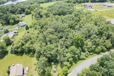 Build your dream home on this beautiful 2.86 acres wooded lot in - photo 1
