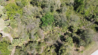 A beautiful vacant lot in a serene location of Southwest Florida - photo 3