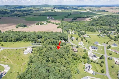 Build your dream home on this beautiful 2.86 acres wooded lot in - photo 9