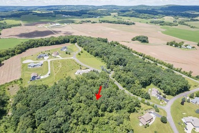 Build your dream home on this beautiful 2.86 acres wooded lot in - photo 10