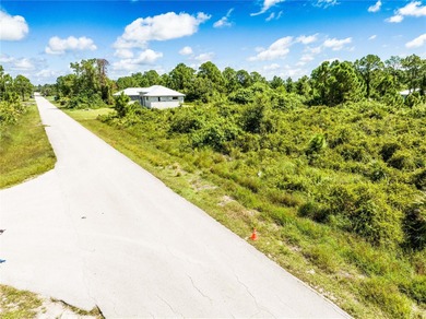 Lehigh Acres Area Lot For Sale in Lehigh Acres Florida
