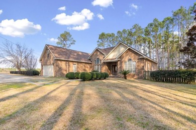 (private lake, pond, coastal) Home For Sale in Baxley Georgia