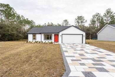 Lake Home For Sale in Silver Springs, Florida