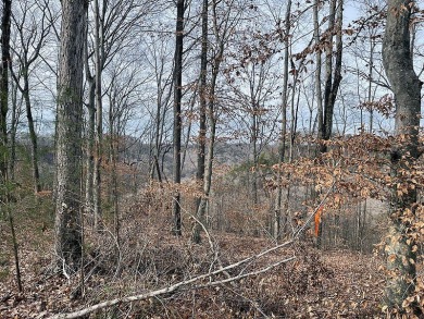.89 Acre Lake Cumberland Lake View Lot - photo 2