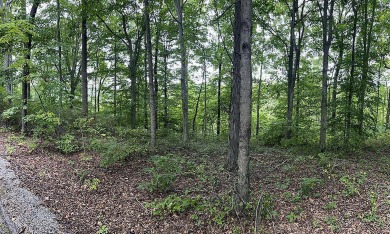 .89 Acre Lake Cumberland Lake View Lot - photo 5