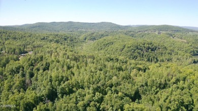 Dale Hollow Lake Acreage For Sale in Alpine Tennessee