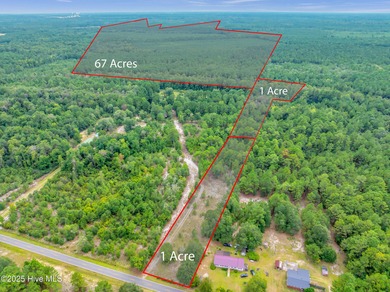 (private lake, pond, coastal) Acreage For Sale in Currie North Carolina