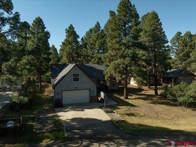 Lake Forest Home For Sale in Pagosa Springs Colorado