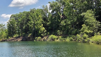 **Ready to Build Your Dream Home on this Beautiful Lakefront - photo 3