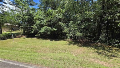 **Ready to Build Your Dream Home on this Beautiful Lakefront - photo 8