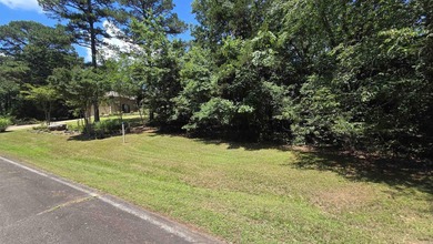 **Ready to Build Your Dream Home on this Beautiful Lakefront - photo 9