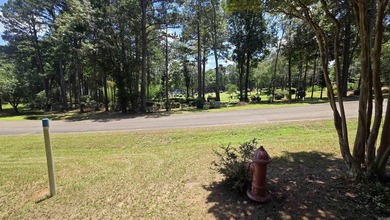 **Ready to Build Your Dream Home on this Beautiful Lakefront - photo 10