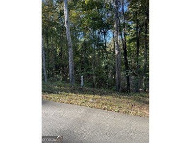 Lake Lanier Lot For Sale in Gainesville Georgia