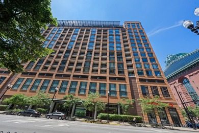 Lake Michigan - Cook County Condo For Sale in Chicago Illinois