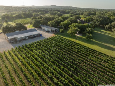 Christoval Vineyards is a 25-acre, river front property in - photo 12