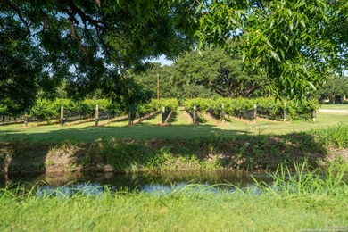 Christoval Vineyards is a 25-acre, river front property in - photo 17