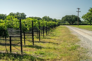 Christoval Vineyards is a 25-acre, river front property in - photo 27