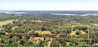 Lake Palestine Acreage For Sale in Chandler Texas