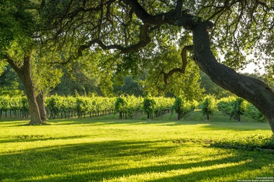 Christoval Vineyards is a 25-acre, river front property in - photo 41