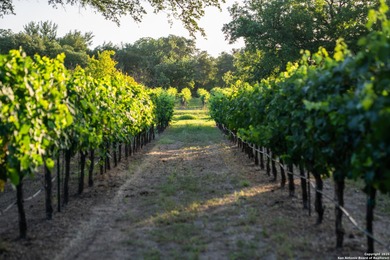 Christoval Vineyards is a 25-acre, river front property in - photo 43