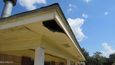 3 bedroom 2 bath home being sold as-is. Newer roof for lower - photo 8