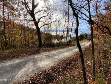 Great laying property with lake views...nice homes all around - Lake Lot For Sale in Rockwood, Tennessee