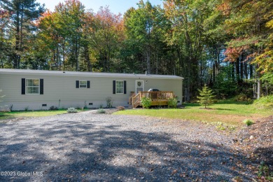 Lake Home For Sale in Providence, New York