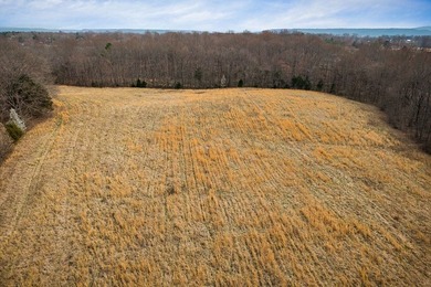 GREAT POTENTIAL FOR DEVELOPMENT. 28.16 ACRES. LEVEL. GREAT FARM - photo 11