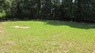 3 bedroom 1.5 bath brick home could be investment or starter - photo 3