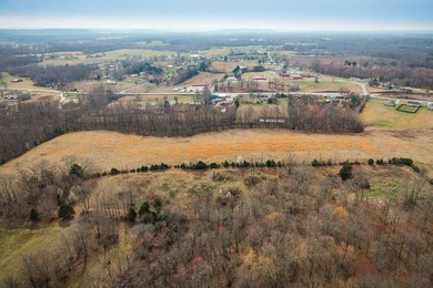 GREAT POTENTIAL FOR DEVELOPMENT. 28.16 ACRES. LEVEL. GREAT FARM - photo 14