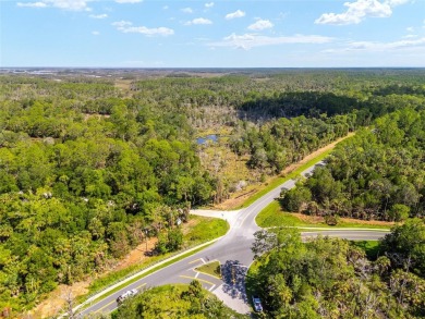 24.75 Acres in City of Yankeetown, FL offers road frontage on 2 - photo 15