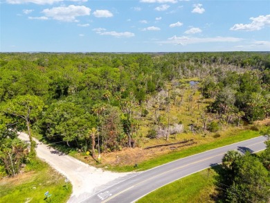 24.75 Acres in City of Yankeetown, FL offers road frontage on 2 - photo 16