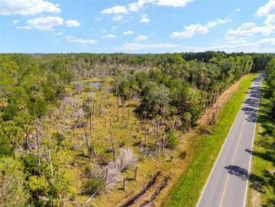 24.75 Acres in City of Yankeetown, FL offers road frontage on 2 - photo 17
