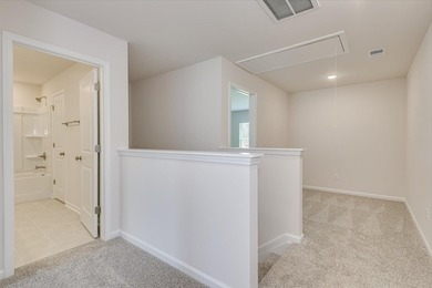 No HOA!! The Reedy by Veranda Homes is a stunning new - photo 17