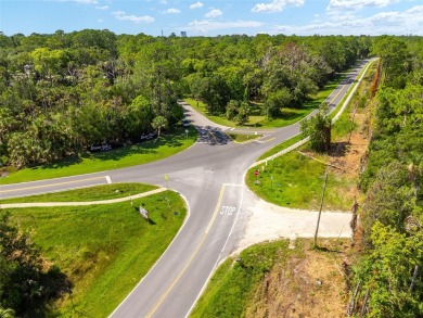 24.75 Acres in City of Yankeetown, FL offers road frontage on 2 - photo 18