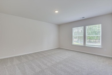 No HOA!! The Reedy by Veranda Homes is a stunning new - photo 19