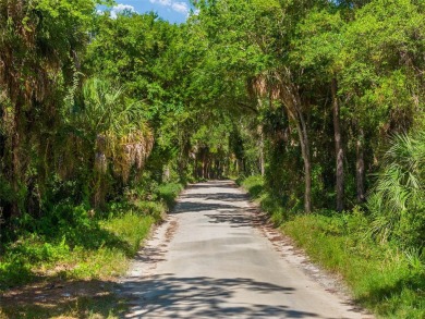 24.75 Acres in City of Yankeetown, FL offers road frontage on 2 - photo 20