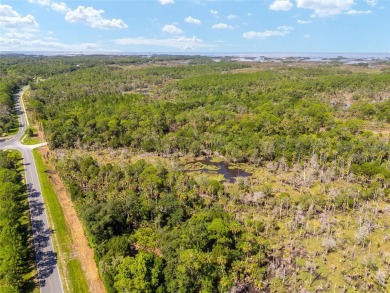 24.75 Acres in City of Yankeetown, FL offers road frontage on 2 - photo 23