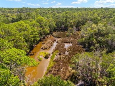 24.75 Acres in City of Yankeetown, FL offers road frontage on 2 - photo 28