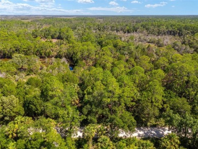 24.75 Acres in City of Yankeetown, FL offers road frontage on 2 - photo 29