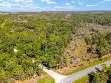 24.75 Acres in City of Yankeetown, FL offers road frontage on 2 - photo 30