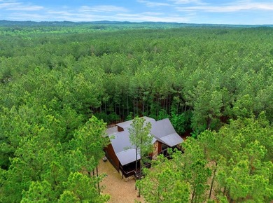Welcome to Cowboys Like Us, located in the desirable Lost Creek - photo 4