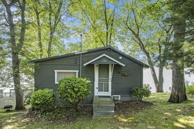 Lake Home For Sale in Sherwood, Michigan