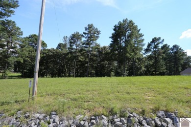 Sassy Land Subd is a beautiful waterfront development offering a - Lake Lot For Sale in Benton, Kentucky