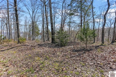 Beautiful lot in Western Shores ready for your dream home! This - Lake Lot For Sale in Murray, Kentucky