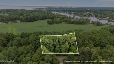 Neuse River Lot For Sale in Oriental North Carolina