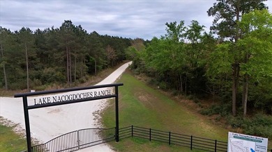 Lake Nacogdoches Acreage For Sale in Nacogdoches Texas